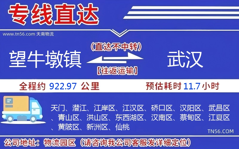 望牛墩鎮(zhèn)到武漢物流公司